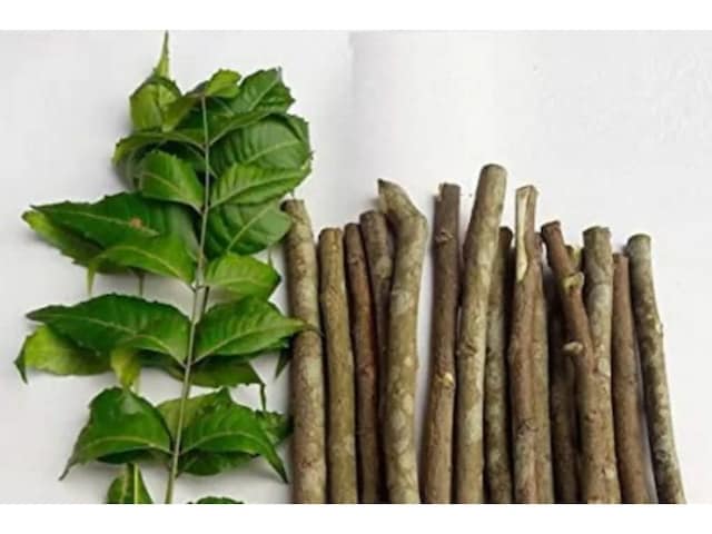 Research has said that neem tree extract may be of help in fight against coronavirus. 