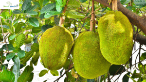 Is Jackfruit Good for Diabetes? Discover the Truth Behind This Tropical Superfood
