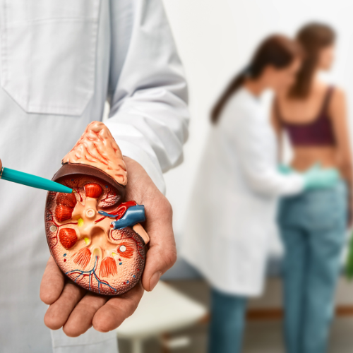 Kidney Disease Diet Program