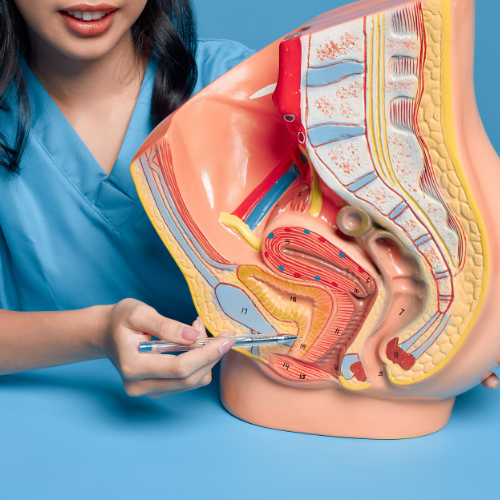 Liver Disease Diet Program