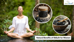 Empower Your Hormones: The Natural Benefits of ShilaJit for Women