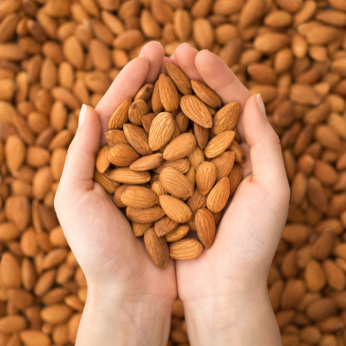 Almonds The Nutty Hair Strengthener