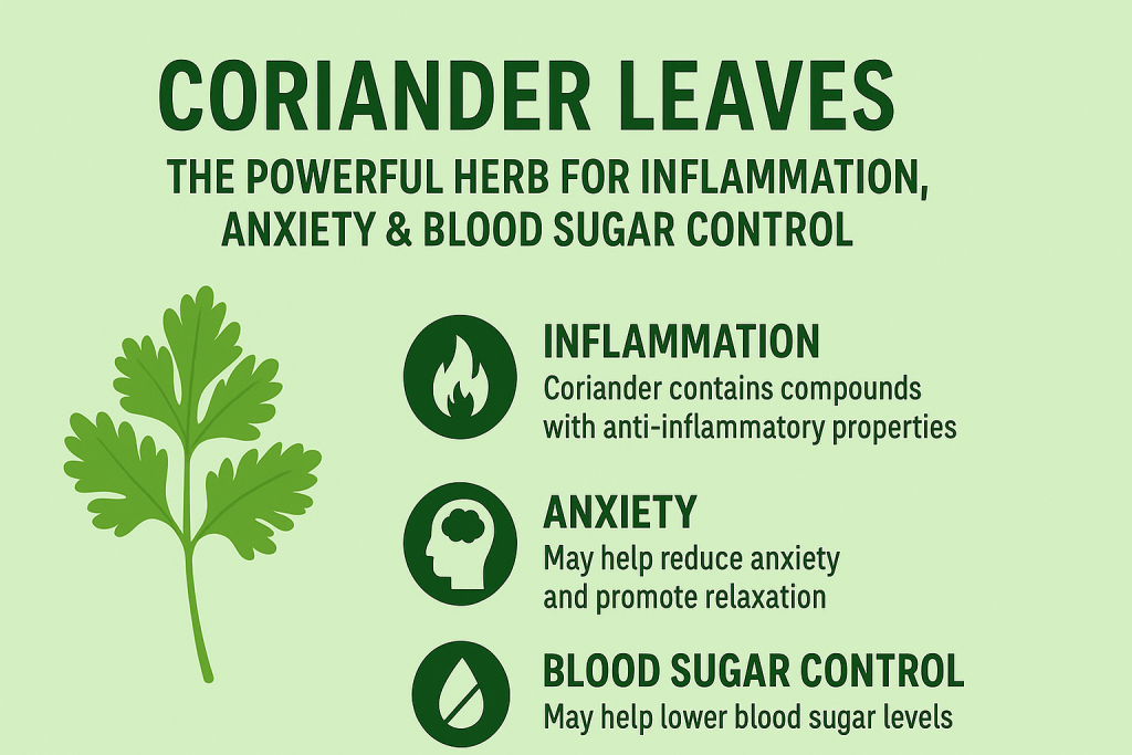 Coriander Leaves: The Powerful Herb for Inflammation, Anxiety & Blood Sugar Control