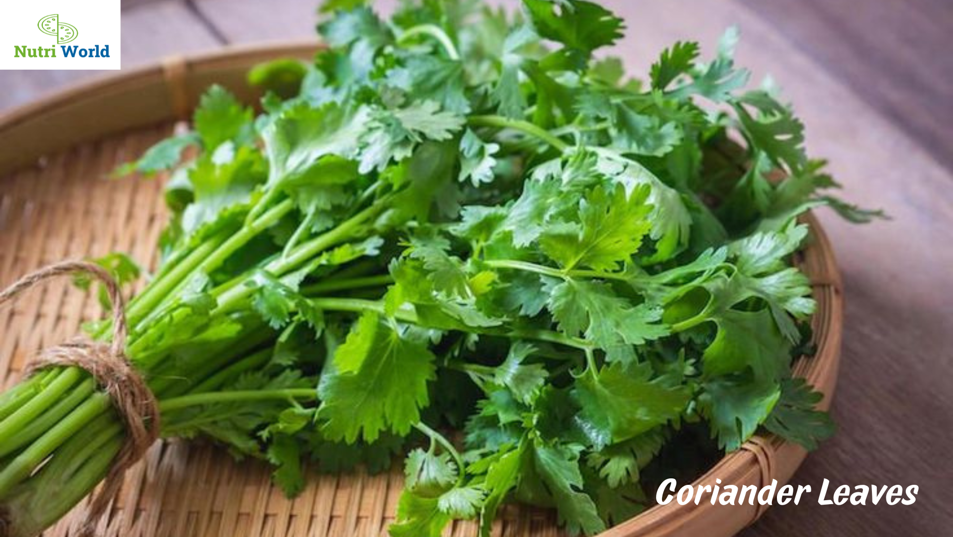 Coriander Leaves: The Powerful Herb for Inflammation, Anxiety & Blood Sugar Control
