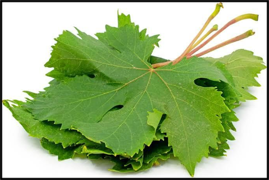 Brain & Mood Booster GRAPE leaves