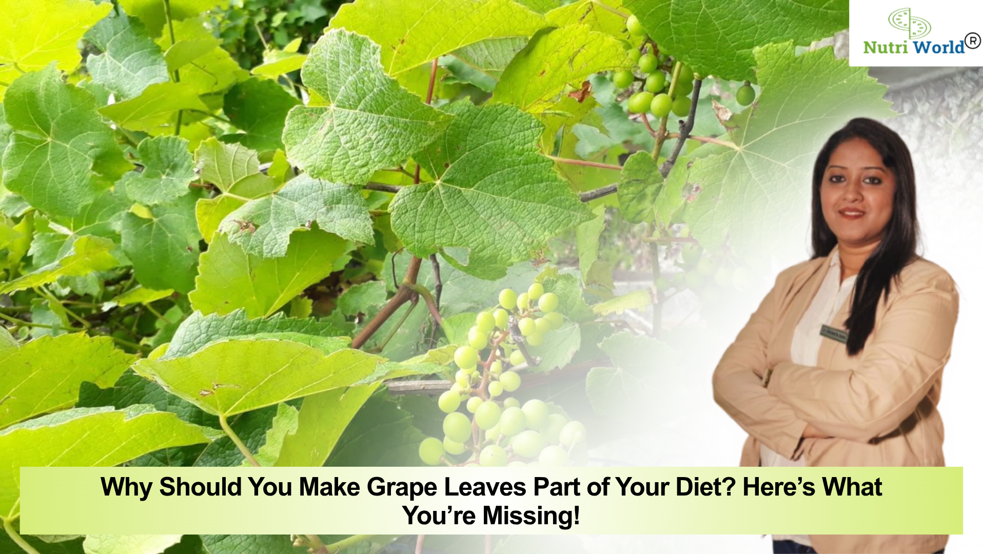 Why Should You Make Grape Leaves Part of Your Diet? Here’s What You’re Missing!
