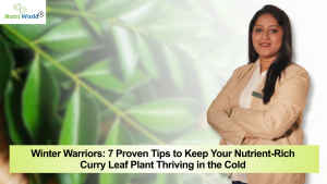 Winter Warriors: 7 Proven Tips to Keep Your Nutrient-Rich Curry Leaf Plant Thriving in the Cold