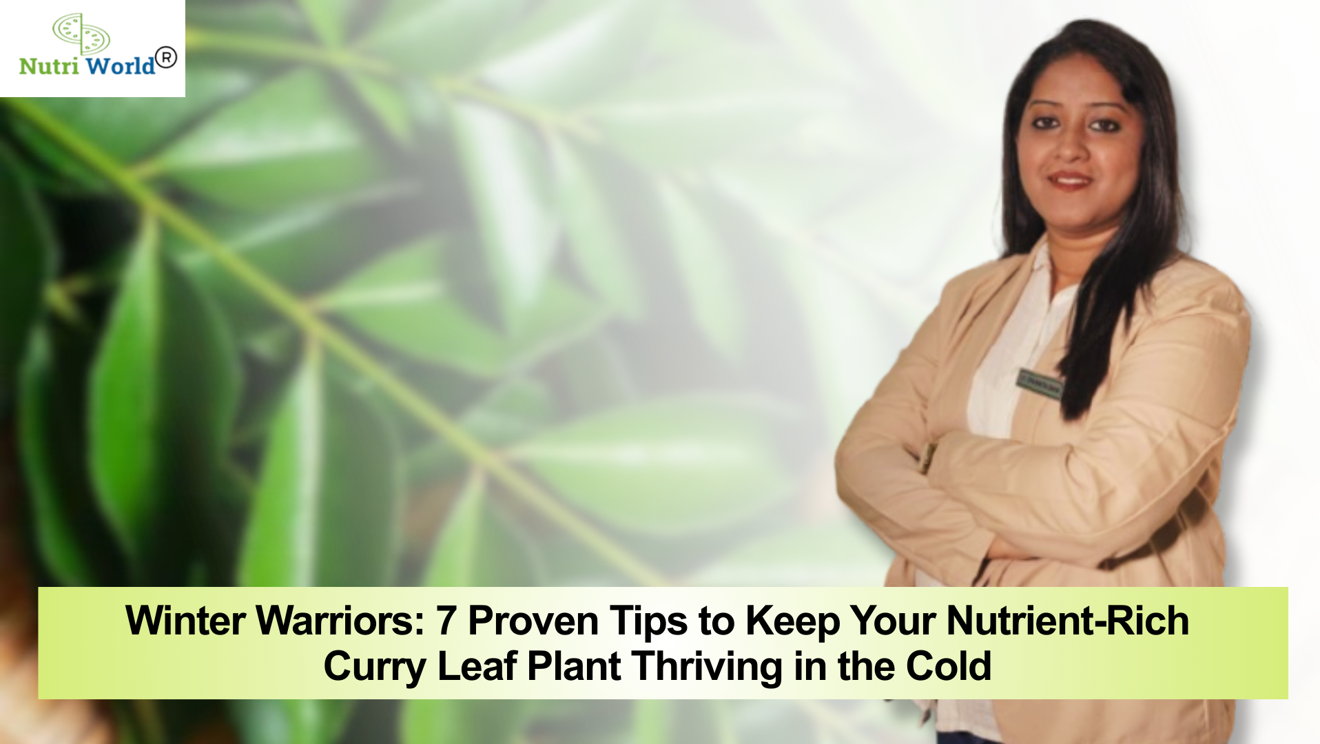Winter Warriors: 7 Proven Tips to Keep Your Nutrient-Rich Curry Leaf Plant Thriving in the Cold